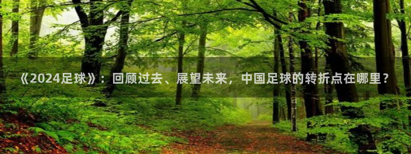 《2024足球》：回顾过去、展望未来，中国足球的转折点在哪里？