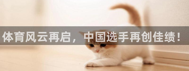 体育风云再启，中国选手再创佳绩！
