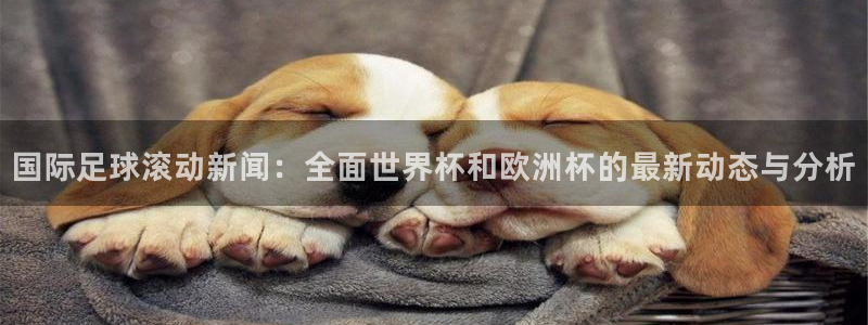 国际足球滚动新闻：全面世界杯和欧洲杯的最新动态与分析