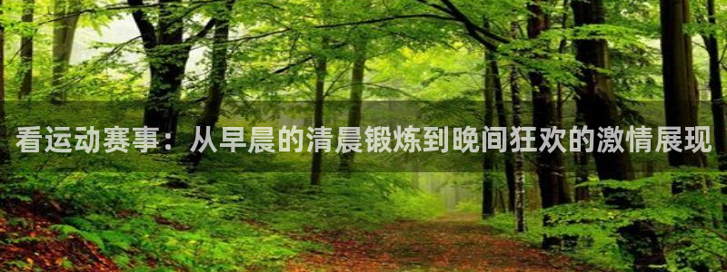 看运动赛事：从早晨的清晨锻炼到晚间狂欢的激情展现