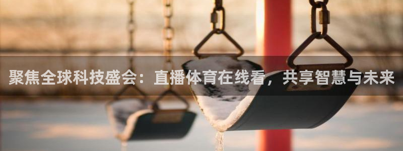 聚焦全球科技盛会：直播体育在线看，共享智慧与未来
