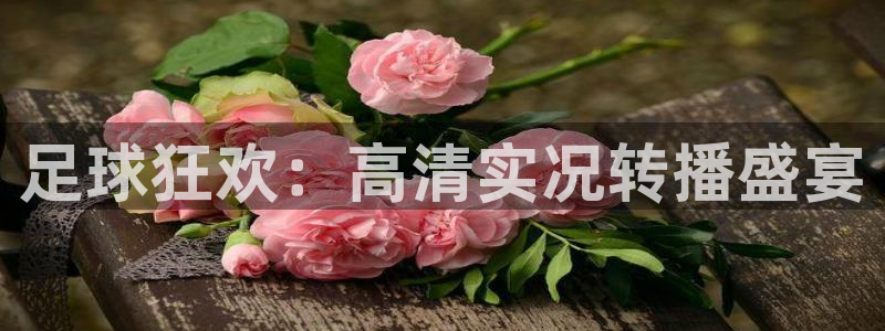 足球狂欢：高清实况转播盛宴
