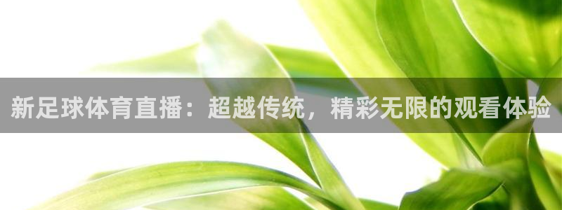 新足球体育直播：超越传统，精彩无限的观看体验