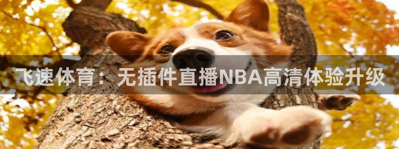 飞速体育：无插件直播NBA高清体验升级