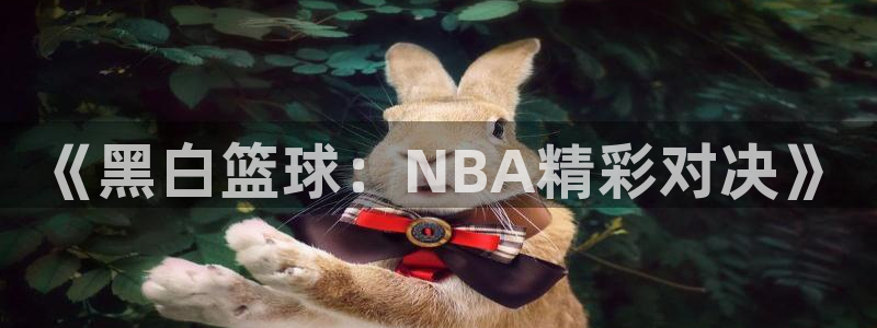 《黑白篮球：NBA精彩对决》