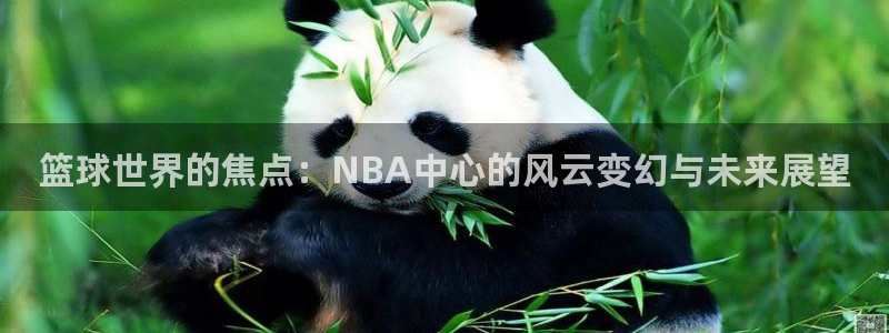 篮球世界的焦点：NBA中心的风云变幻与未来展望