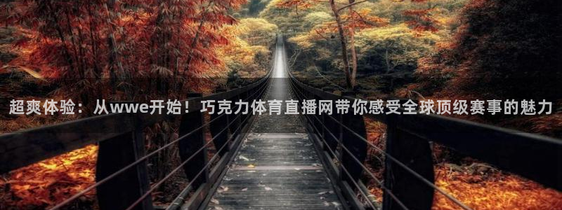 超爽体验：从wwe开始！巧克力体育直播网带你感受全球顶级赛事的魅力