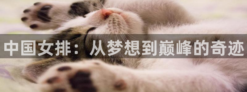 中国女排：从梦想到巅峰的奇迹