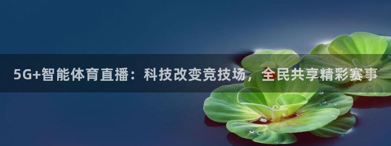 5G+智能体育直播：科技改变竞技场，全民共享精彩赛事