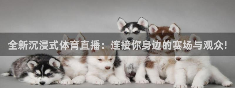 全新沉浸式体育直播：连接你身边的赛场与观众!