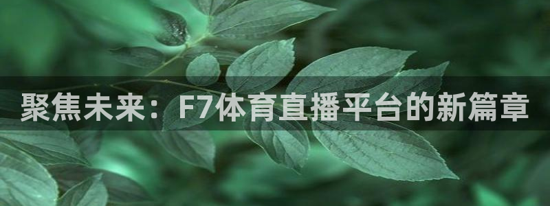 聚焦未来：F7体育直播平台的新篇章