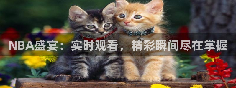 NBA盛宴：实时观看，精彩瞬间尽在掌握