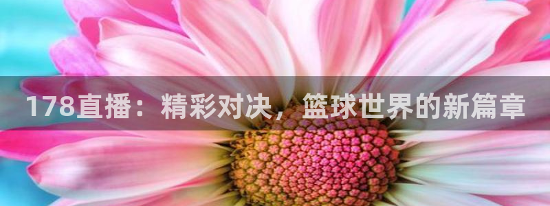 178直播：精彩对决，篮球世界的新篇章
