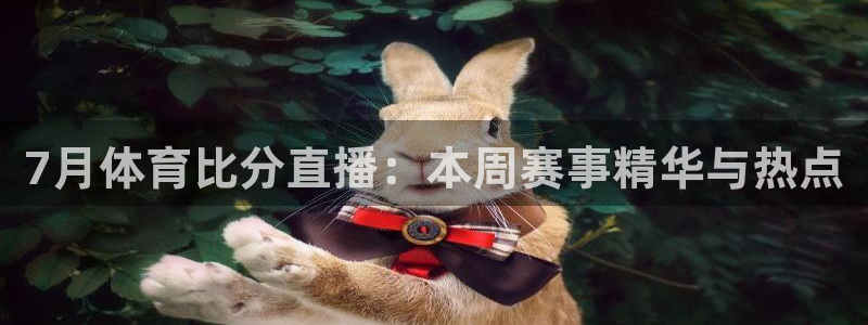 7月体育比分直播：本周赛事精华与热点