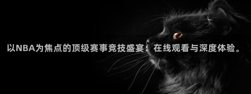 以NBA为焦点的顶级赛事竞技盛宴：在线观看与深度体验。
