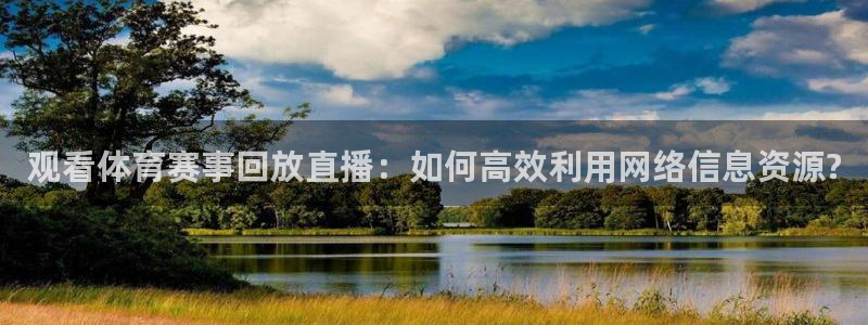 观看体育赛事回放直播：如何高效利用网络信息资源?