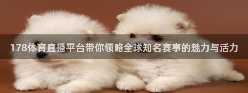 178体育直播平台带你领略全球知名赛事的魅力与活力