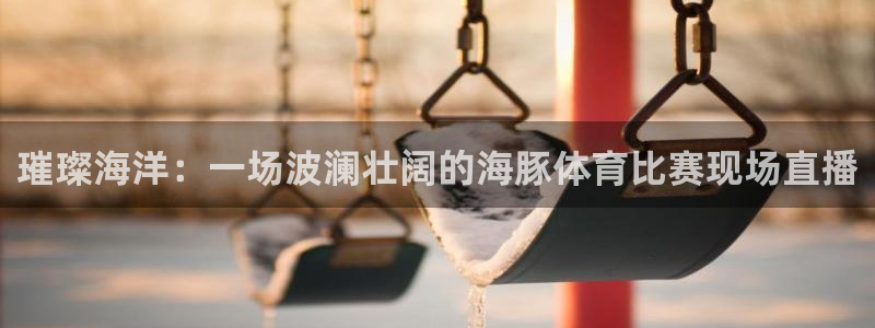 璀璨海洋：一场波澜壮阔的海豚体育比赛现场直播