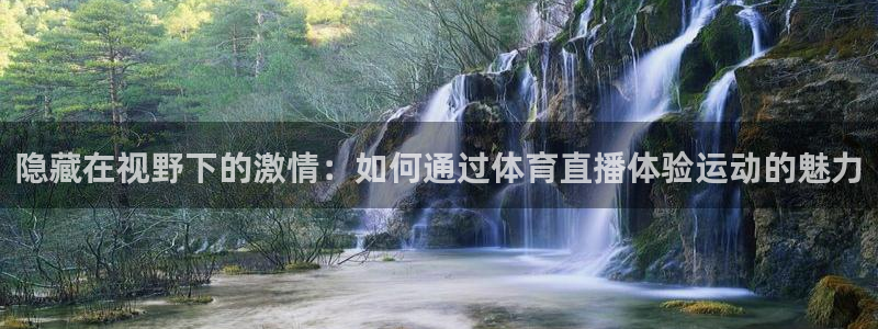 隐藏在视野下的激情：如何通过体育直播体验运动的魅力