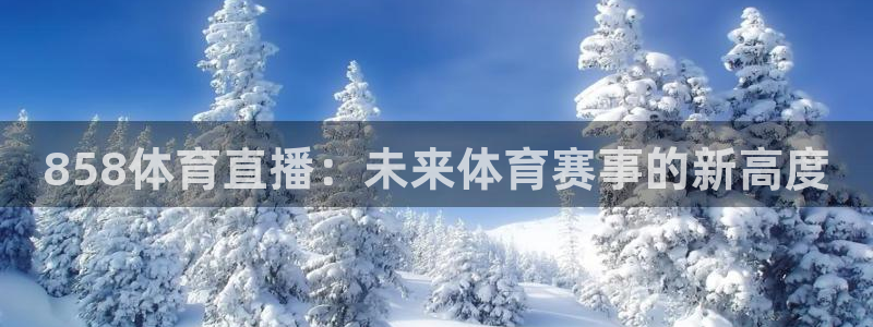 858体育直播：未来体育赛事的新高度