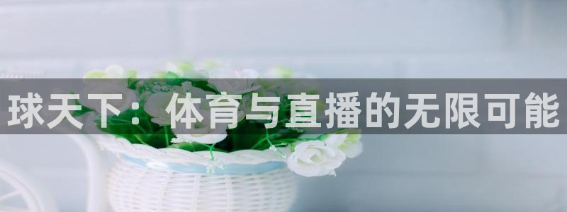 球天下：体育与直播的无限可能