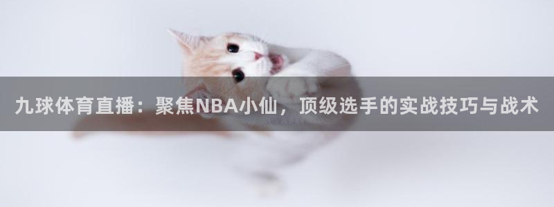 九球体育直播：聚焦NBA小仙，顶级选手的实战技巧与战术