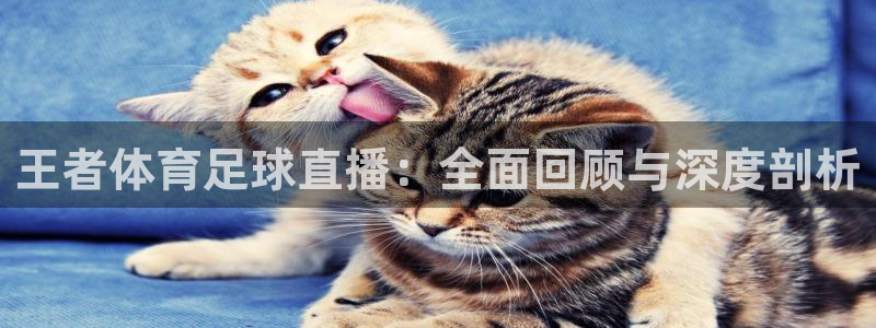 王者体育足球直播：全面回顾与深度剖析