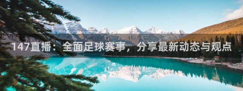 147直播：全面足球赛事，分享最新动态与观点