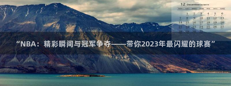 “NBA：精彩瞬间与冠军争夺——带你2023年最闪耀的球赛”