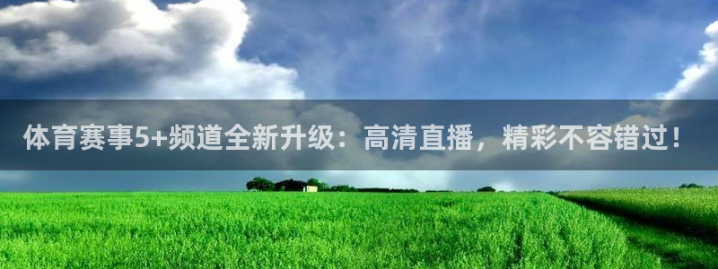 体育赛事5+频道全新升级：高清直播，精彩不容错过！