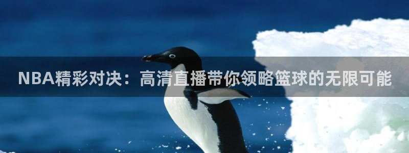 NBA精彩对决：高清直播带你领略篮球的无限可能